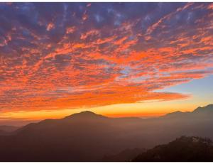 صورة لـ The Royals Apricot Garden, Chamba في دانولتي +17 صورة