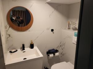 een badkamer met een wastafel en een spiegel en een toilet bij Love room le belka in Rive-de-Gier +2 foto's