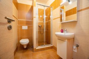 Vannituba majutusasutuses Apartmány U Gigantu
