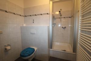 bagno con doccia e servizi igienici con sedile blu di Kapitänshaus FW 2 EG re a Wustrow