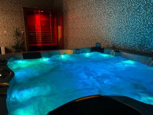 百乐费利克斯维拉克力努尔别墅的客房内的蓝色热水浴池