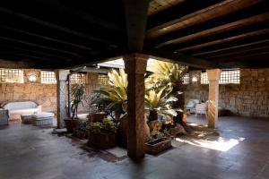 Zahrada ubytování Villa Ippocampo by Wonderful Italy