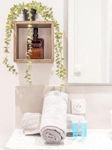 a bathroom with a towel rack and a bottle of soap at Le Cosy Shelby Proche gare 150m in Villefranche-sur-Saône