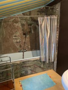 Cette chambre dispose d'une baignoire avec rideau et d'une table. dans l'établissement Charmant duplex vue sur montagne, à Le Broc