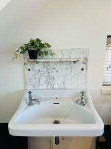 lavabo blanco en un baño con maceta en Zomerhuis - Gratis parkeren!, en Noordwijk aan Zee