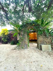 竹富岛Maison Paradis -Taketomi Island- メゾンパラディ竹富島的一座石头建筑,上面有植物