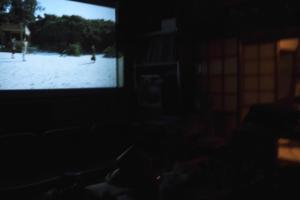 TV/Unterhaltungsangebot in der Unterkunft 向島集会所夕朝二食付き
