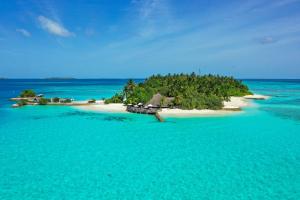 Landskap semula jadi dekat dengan resort