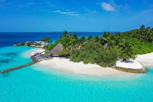 Landskap semula jadi dekat dengan resort