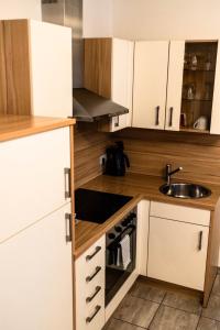 Kuchyň nebo kuchyňský kout v ubytování Orchidea Apartman