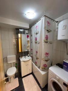 帕莱Stan na dan Ružica的带淋浴、马桶和水槽的浴室