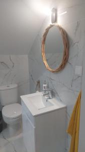 a bathroom with a sink and a toilet and a mirror at Cris Place in Câmara de Lobos +24 photos