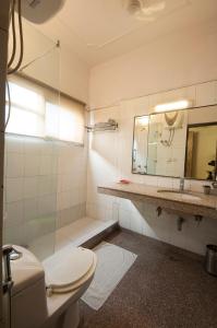 a bathroom with a toilet and a sink and a mirror at Golden Leaf Hotel in New Delhi