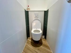 un bagno con un water bianco in una cabina di T2 climatisé face Loire et château le 4-4 a Amboise Altre 12 foto