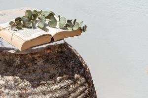 un livre assis au sommet d'un rocher avec une plante dans l'établissement Kastro suite, à Naxos Chora