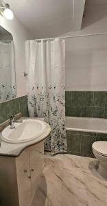 a bathroom with a sink and a toilet and a shower at LovelyLoft Trafalgar in Alicante +27 photos