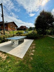 Zahrada ubytování hotel Sádek