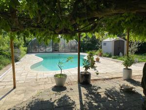 a swimming pool with two potted plants on a patio at La rencontre in Ars-sur-Formans