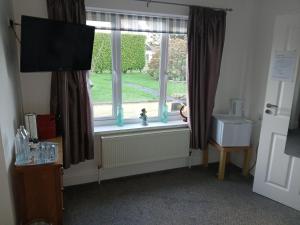 TV a/nebo společenská místnost v ubytování Elysian Fields B&B