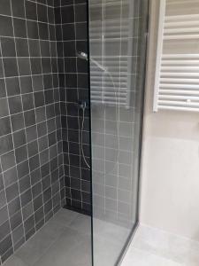 a shower with a glass door in a bathroom at Apartamentos Angelito Playa América B in Nigrán