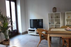 Televízia a/alebo spoločenská miestnosť v ubytovaní LovelyLoft Castaños + 37 fotografií
