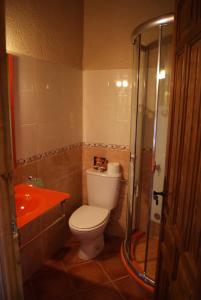 
a white toilet sitting next to a shower in a bathroom at Hotel Casa de la Fuente in Alcorisa
