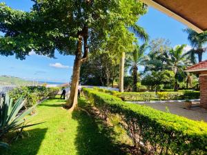 a tree in a park next to a fence at Haylo Hotel in Kampala