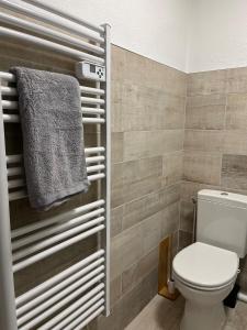 - Baño con aseo y toalla en Joli studio cozy, balcon, Cité des Congrès, Gare Sud, en Nantes