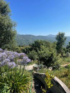 Paesaggio naturale nelle vicinanze della casa vacanze