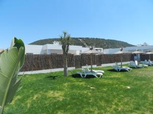 a row of lawn chairs and umbrellas in a yard at DADA CAÑOS in Los Caños de Meca