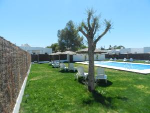 a pool with chairs and a tree in the grass at DADA CAÑOS in Los Caños de Meca