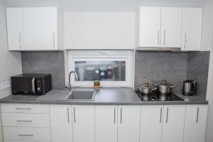 Η κουζίνα ή μικρή κουζίνα στο Guest house Mažeikiai