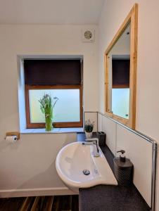a bathroom with a sink and a mirror at Cosy Country Styled Apartment in Kidsgrove