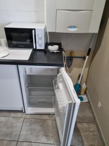 kuchenka mikrofalowa na lodówce w obiekcie T1 meublé w mieście Saint-Chamond +2 zdjęcia