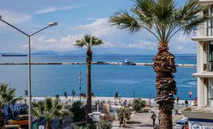 a group of palm trees on a sidewalk near the ocean at EN Hotel Boutique Izmir in Konak