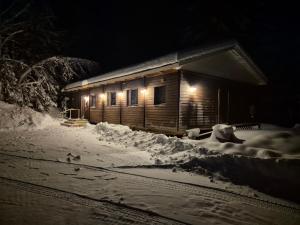 Trevligt lantligt boende i skogen v zimě
