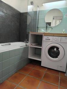 a bathroom with a washing machine and a bath tub at Anse des Rochers Paradise in Saint-François