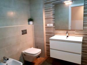 a bathroom with a toilet and a sink and a mirror at LovelyLoft Pablo Old Town in Alicante