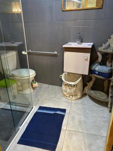 a bathroom with a shower and a sink and a toilet at Casa Maria trilheira in Petrópolis