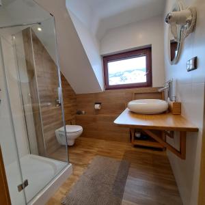 a bathroom with a shower and a sink and a toilet at Apartamenty Ancymon in Węgierska Górka +52 photos