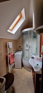 ein Badezimmer mit Dusche, Toilette und Waschbecken in der Unterkunft Vlad De Săliște in Săliştea de Sus