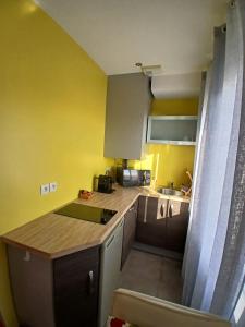 Kuchyň nebo kuchyňský kout v ubytování Hôtel le 116