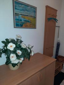 a wooden dresser with a vase of white flowers on it at Zinnowitz, Dünenstraße 36 WE 2 in Zinnowitz +5 photos