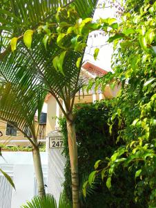 Photo de la galerie de l'établissement FANTASTIC HOMEs SUITE KIGALI, à Kigali