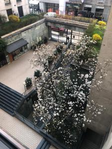 Kép Music House - Carozzi Apartments szállásáról Milánóban a galériában