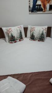 Postel nebo postele na pokoji v ubytování Thor și Cora