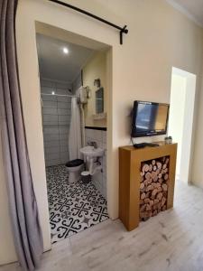 a bathroom with a toilet and a tv on a counter at Ergzotic Apartments & Room in Sombor