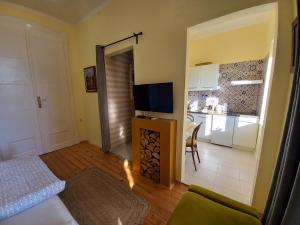 a living room with a television and a kitchen at Ergzotic Apartments & Room in Sombor