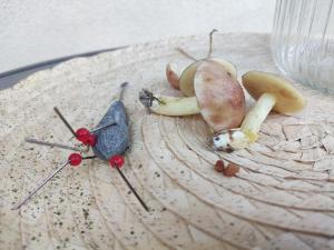 Fotografie z fotogalerie ubytování Moje Niechorze v destinaci Niechorze