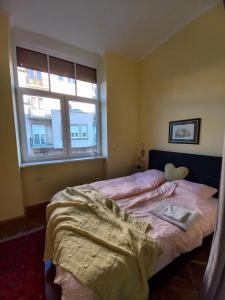 a bedroom with a bed and a window at Ergzotic Apartments & Room in Sombor